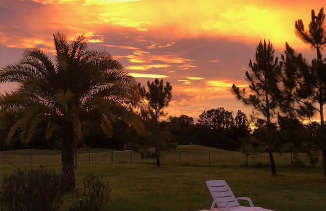 Swiss 53-lake Denise - Photo 27