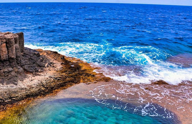 Finca Paraiso Casa Rural Tenerife - Foto 8