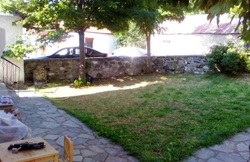 Ginî Viñis - Foto 27