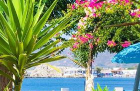 Haraki Mare Studios beach front - Foto 70