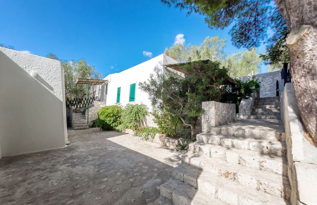 Residenza La Cicala - Foto 45