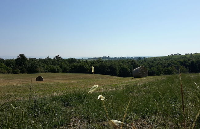 Agriturismo Podere Casa al Vento - Photo 63