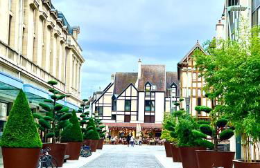 Spa et Sauna Luxueux Hyper centre avec Parking - Photo 16