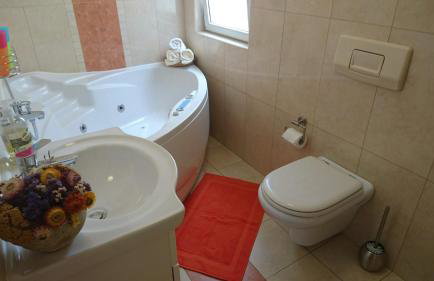 eco Apartment - Photo 14