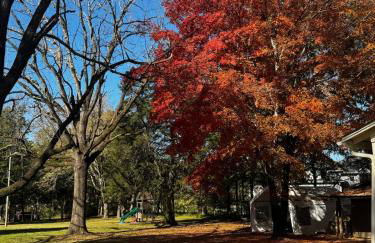 Eclectic 1906 Farmhouse 2 Acres Hammocks & Charm - Foto 35