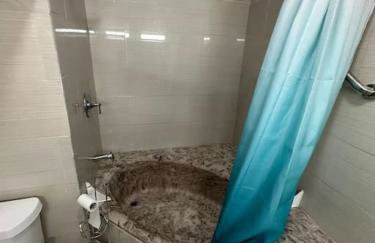 Roomy Renovated GuestHome, Desk, Yard, PetFriendly - Foto 12