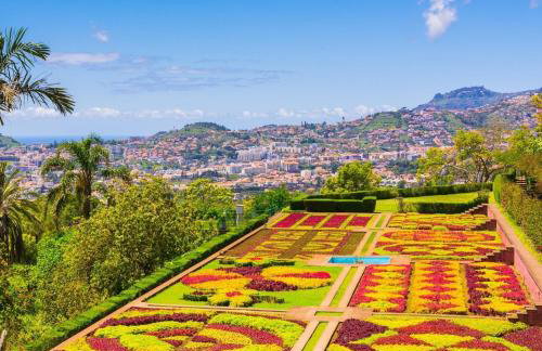 Funchal Boa Nova Apartment - Foto 22