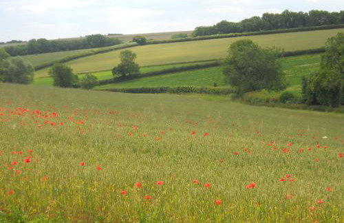 Far Hill Cottage - Foto 12