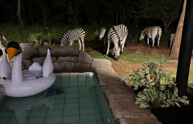 Kruger Kumba - Mugwenzi - Photo 46