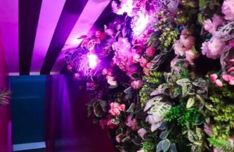 Manchester's ONLY themed slumber party suite for 8 with makeup room - Photo 23