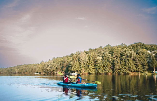 Le Cerf 40 Citq 234861 - Foto 39