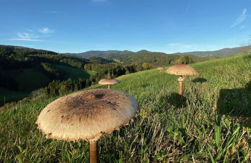 Ferien-Apartment im Genusshotel Hirschen (Südschwarzwald) - Foto 17