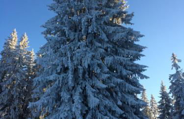 Luxury 2 Bedroom Apartment with view of Mont Blanc - Foto 36