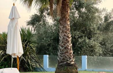 Villa Solar da Fonte - Foto 17