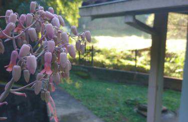 Casa do Artista - Foto 22