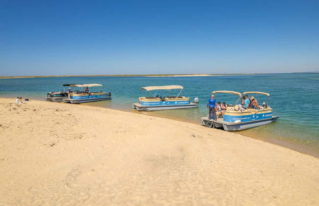 Deserta and Farol Islands Cruise - Photo 4