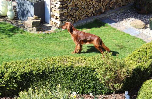 Am Waldrand - Photo 15