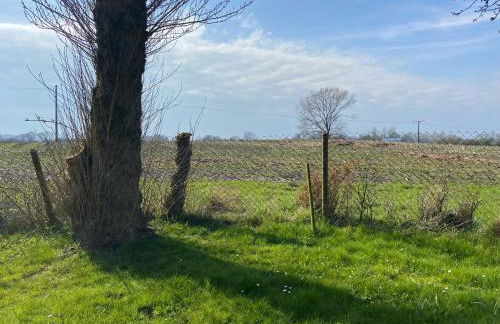 Kätchens Glück - Foto 25