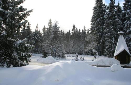 Ferienhaus mit Wellnessbereich in Elend - Foto 27