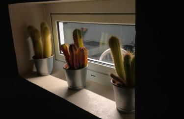 Mar&Mar, apartamento con solárium y piscina - Photo 39