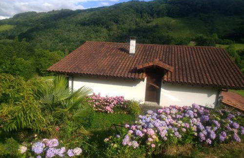 Alberroakoborda - Foto 35