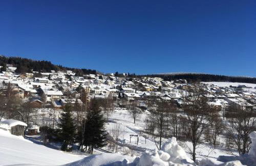 Komfortable Wohnungen und Studio in Sankt Englmar - Foto 18
