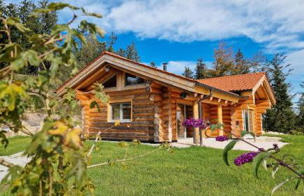 Franz Josefs Chalets - Foto 29