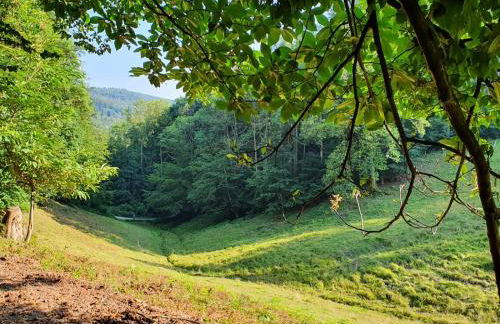 Odenwald-Lodge mit Infrarotsauna und E-Ladestation im Naturpark Odenwald "Haus Himmelblau" - Foto 24