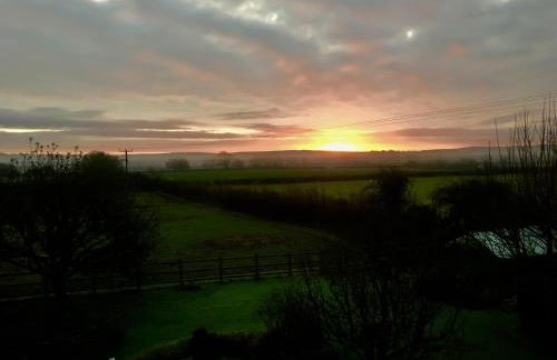 Little Glebe - Foto 21