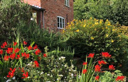 Coppice House - Foto 11