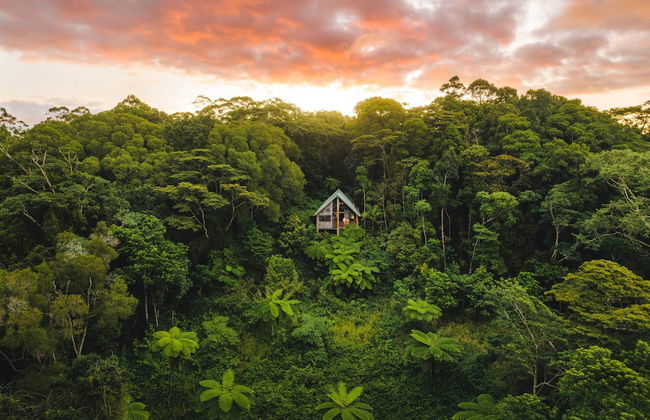 Rose Gums Wilderness Retreat - Foto 35