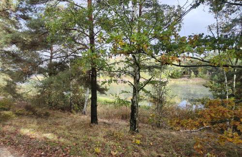 Kleine Freiheit Nummer 3 - Foto 14