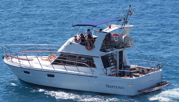 An Bord der Neptuno - Halbtagestour - Foto 2