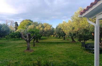 Rizaki Cottage in Nafpaktos - Foto 40
