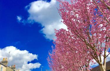 Angel's (station accommodation) - Foto 6