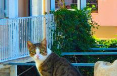 Knossos Sunrise - Foto 34