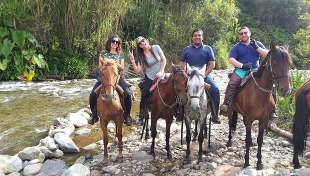 Descubra el Valle del Cocora y Paseo a Caballo en Salento - Excursión Privada de Día Completo - Foto 5