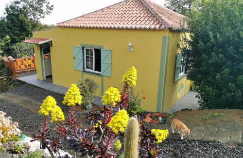 Iraña del bosque - Foto 19