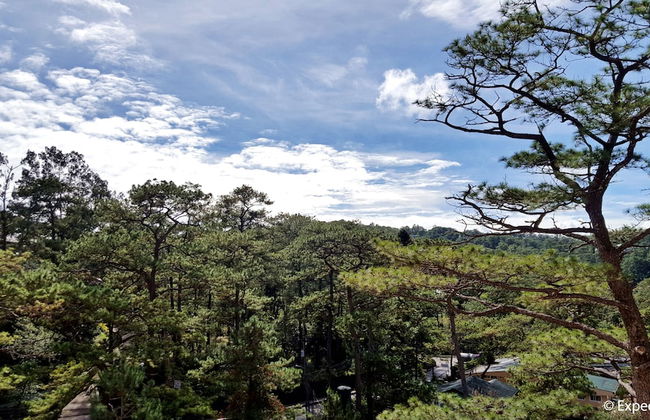 Prestige Vacation Apartments - Bonbel Condominium - Foto 62