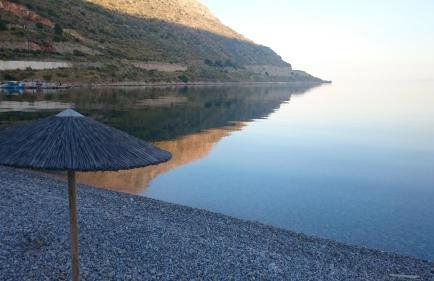 Oasis Studios AG PANTES - Photo 29