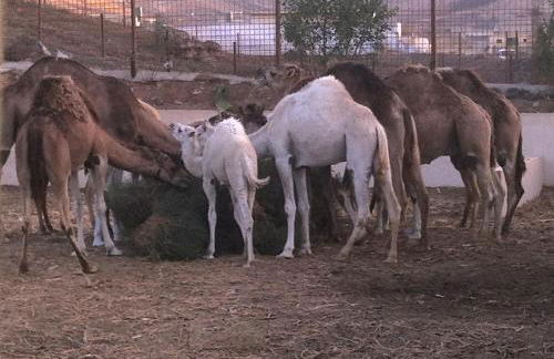 La Finca Uga - Photo 63