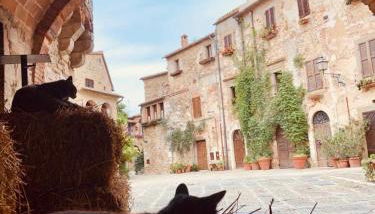 Appartamento Cuore - Foto 2