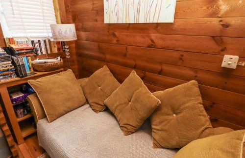 Aurora Skies - Photo 9