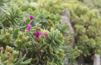 Ocean View Apartments - Foto 50