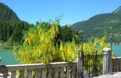 Appartamenti Regina - Foto 58