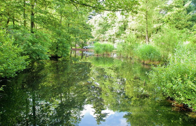Restyled Bungalow With Dishwasher at the Kootwijkerzand - Photo 30