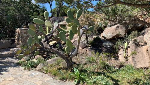 Kirù Lovely Home - Villa Su Cuile, Cala Ginepro - Foto 4