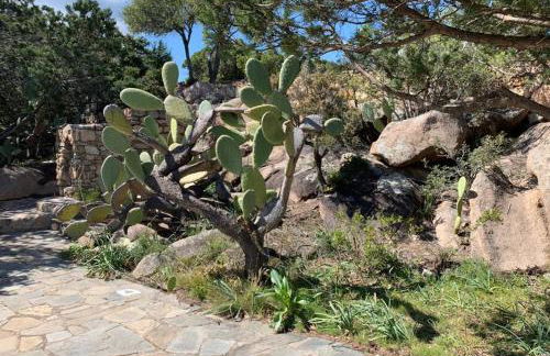 Kirù Lovely Home - Villa Su Cuile, Cala Ginepro - Foto 4