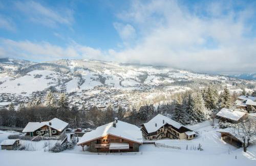 Charmant appartement au Mont d'Arbois proche pistes, parking inclus - FR-1-569-11 - Foto 8