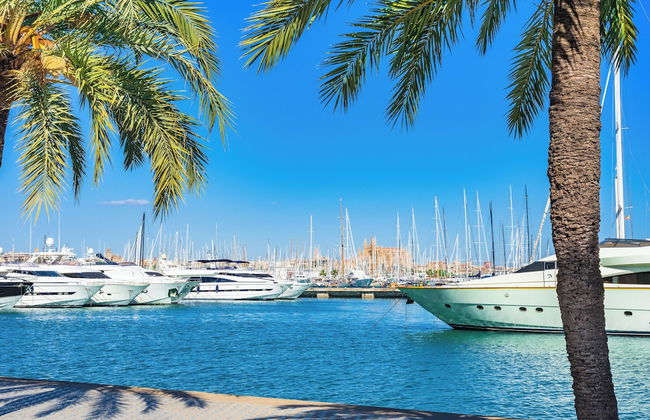 Gomila Palma Apartments - New Opening - Photo 50